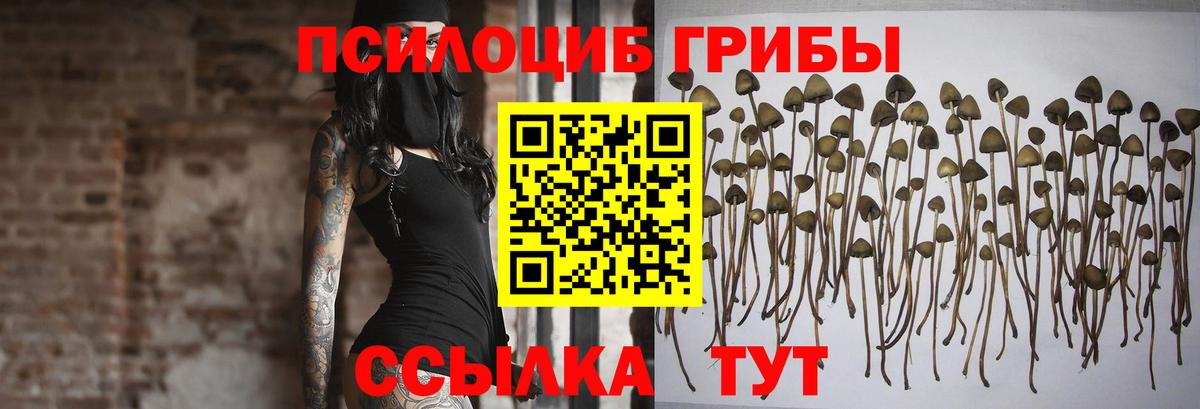 Ноябрьск  Галлюциногенные грибы GOLDEN TEACHER  Вход с VPN 